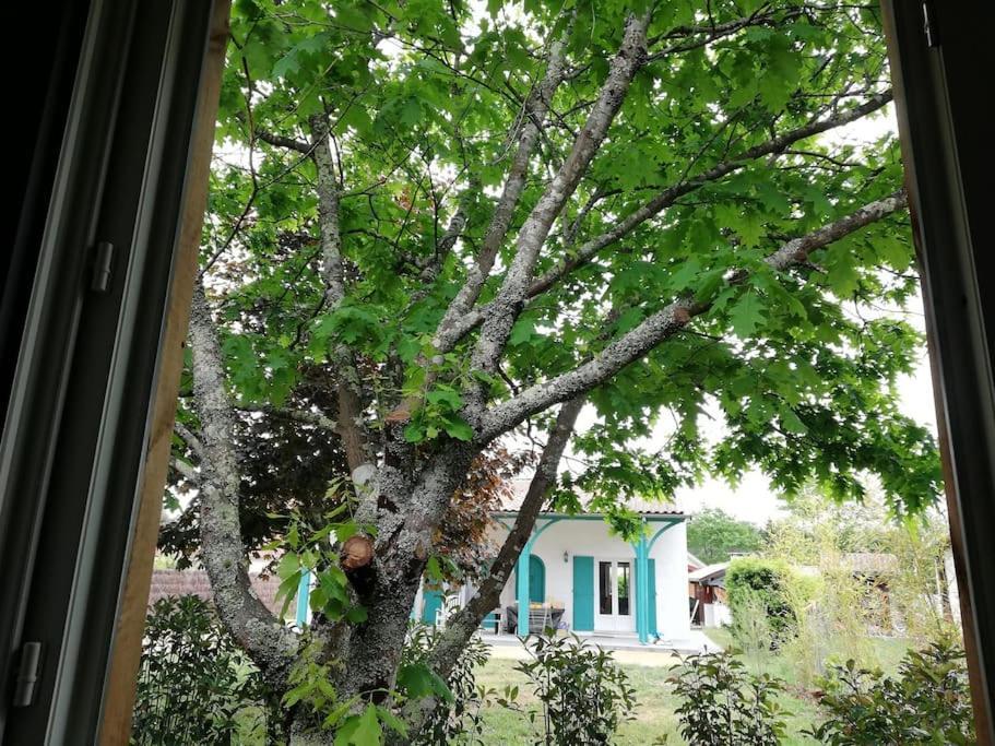 Lanton, La Petite Maison De Vos Ferienhaus *